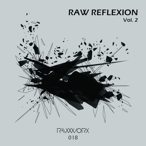 VA - RAW Reflexion Vol. 2 [RWX018]